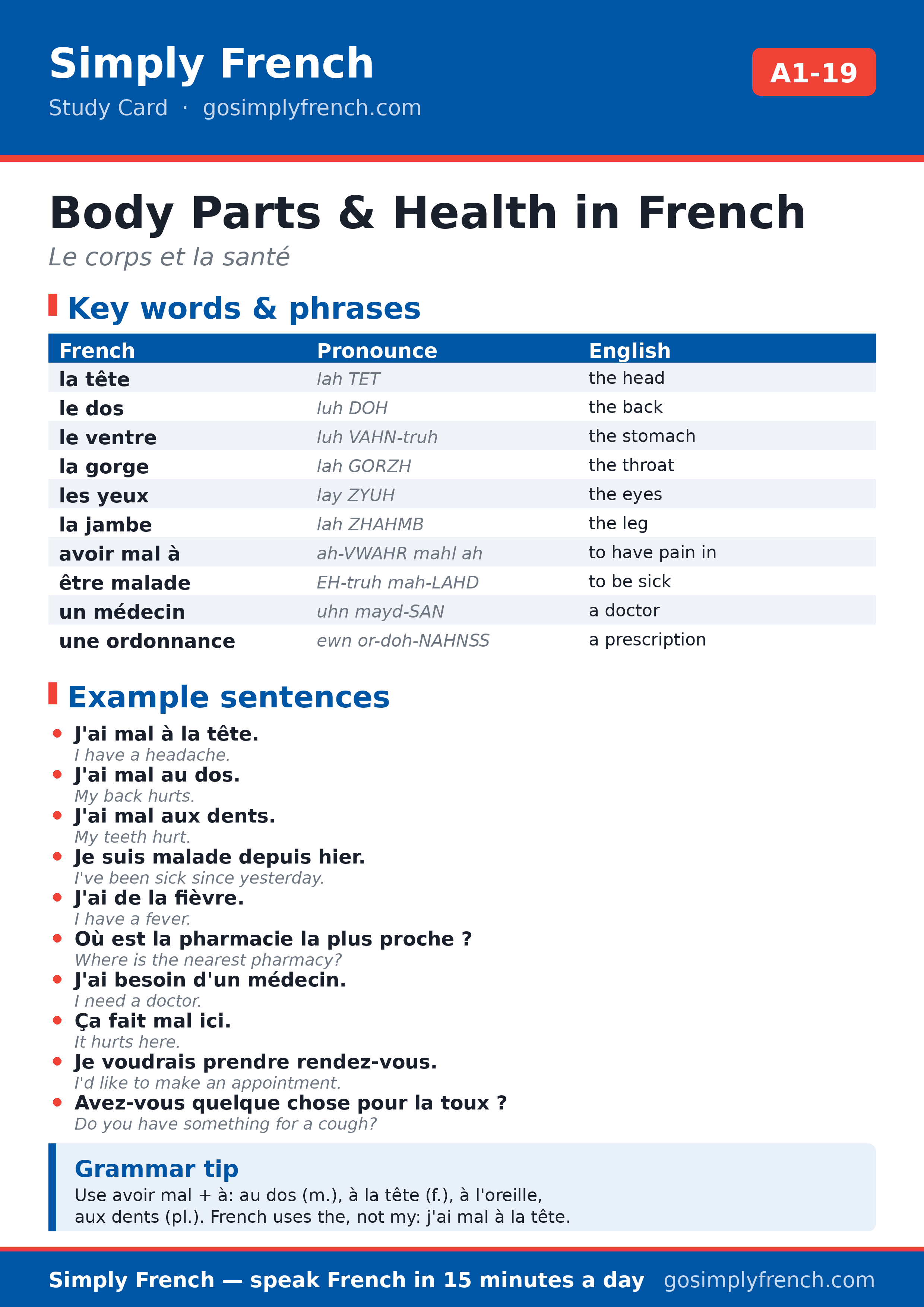 Body Parts and Health in French (A1-19) study card - key words, phonetics and example sentences