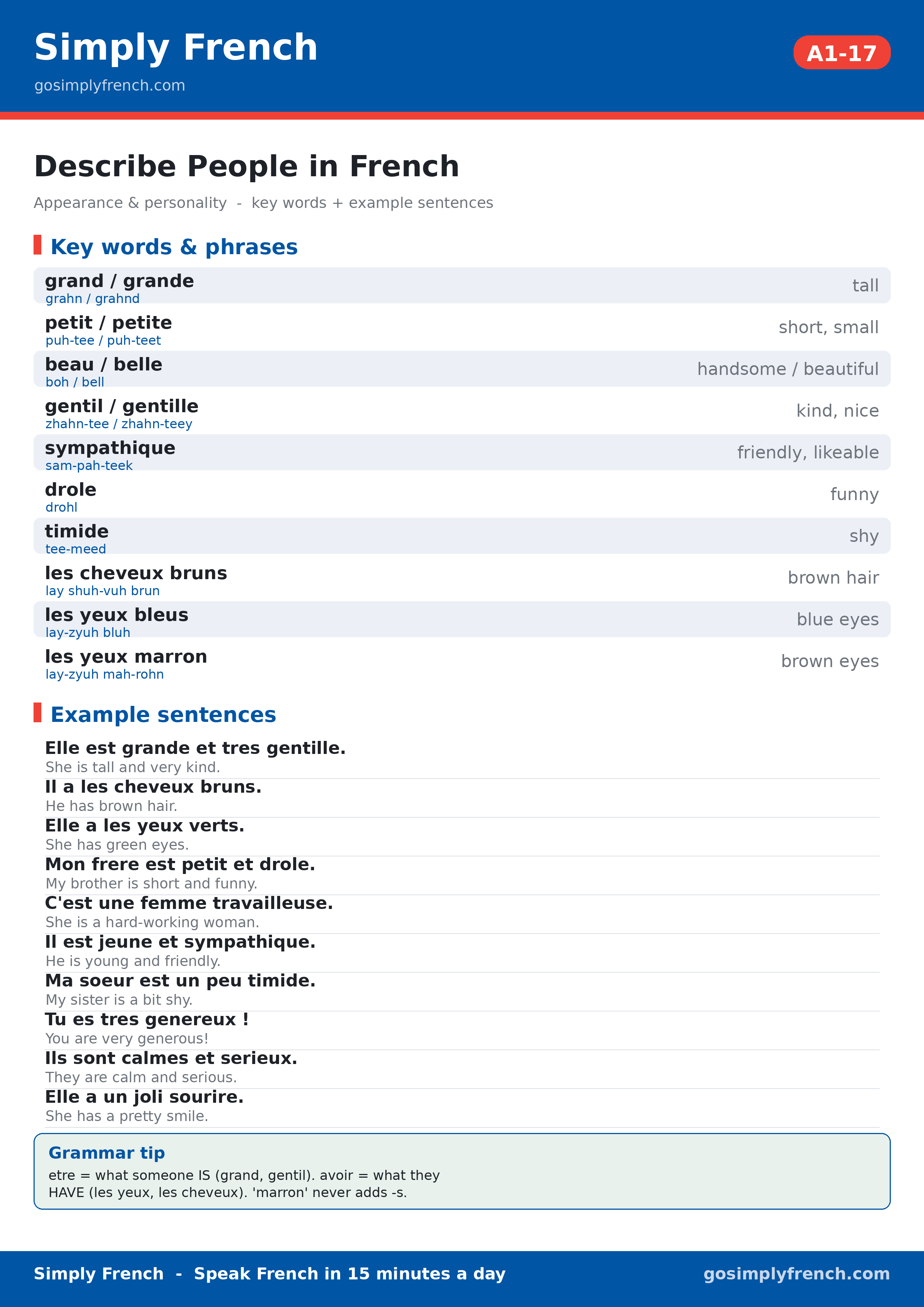 Simply French study card: Describe People in French (A1-17)