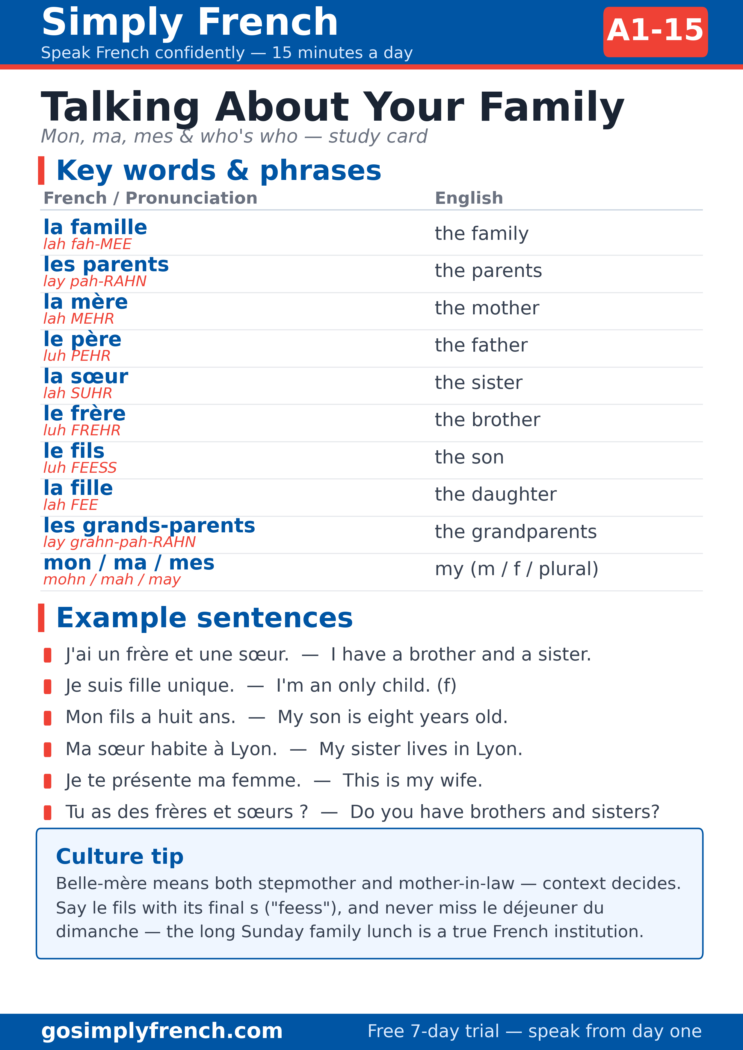 Family in French study card — key vocabulary with pronunciation